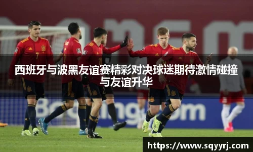 西班牙与波黑友谊赛精彩对决球迷期待激情碰撞与友谊升华