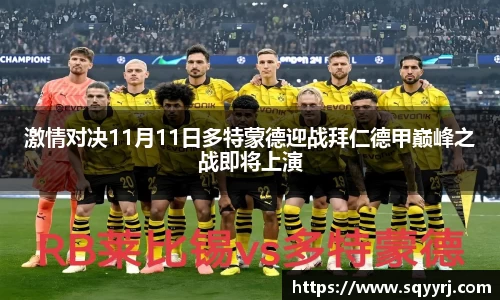 激情对决11月11日多特蒙德迎战拜仁德甲巅峰之战即将上演