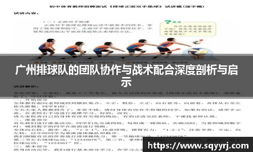 广州排球队的团队协作与战术配合深度剖析与启示